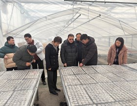 【先行区共建】园艺所茄子课题组赴松江、金山开展茄子耐低温专项调研及品种考察工作