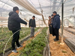 【上海乡村振兴】深研果蔬种植难题 协同防控护航产业