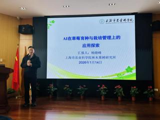 【上海乡村振兴】我院科技人员受邀作“AI 在草莓育种与栽培管理上的应用探索”专题技术培训