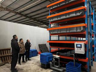 【上海乡村振兴】生态所科技人员赴上海颖豚农业科技有限公司开展黄鳝工厂化养殖车间建设指导