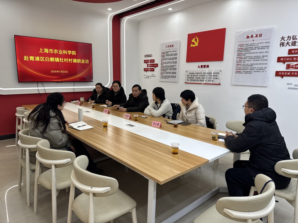 a1ad90e29791129943c8dc31a5ab8f1e