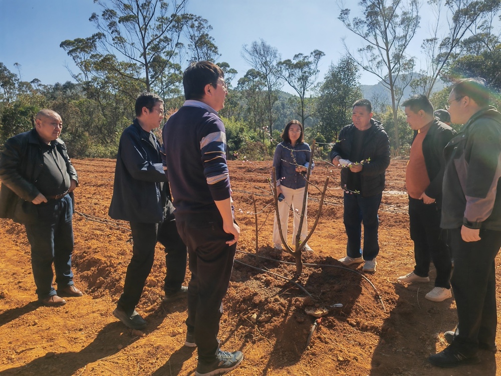一群人站在树旁的空地上

AI 生成的内容可能不正确。