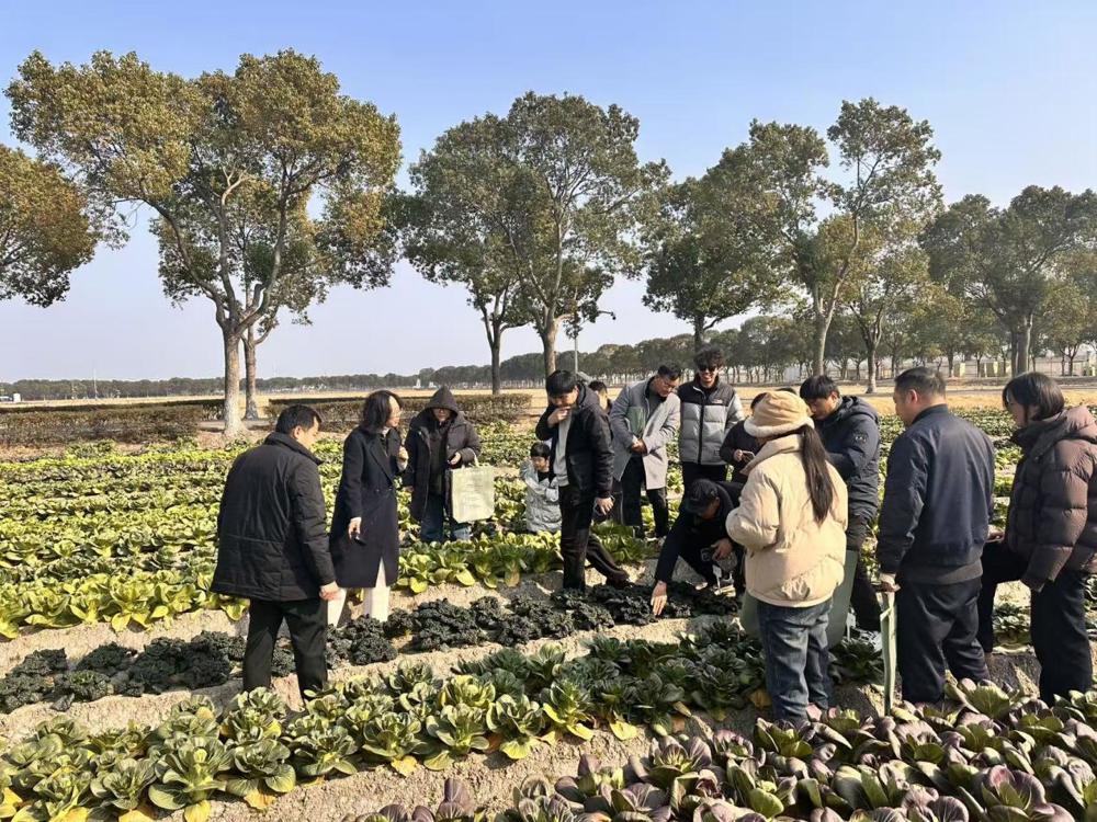 2d8d34b6004a9e3d328da0a83a8bf679