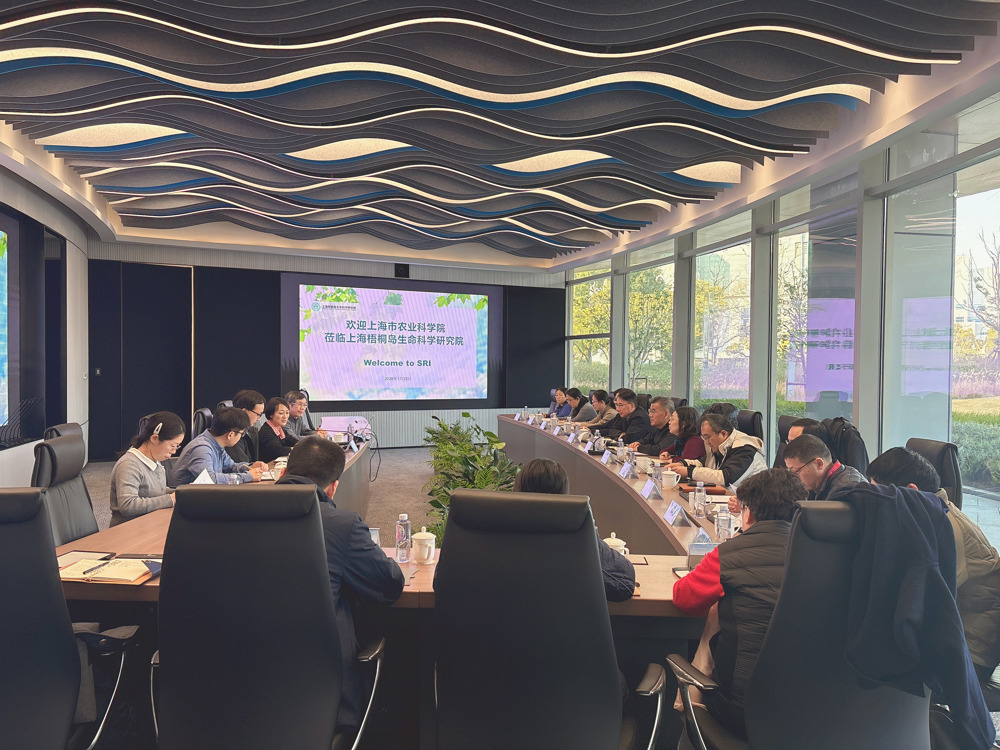 a235a76764b2af095bcb2eba29fedaf1