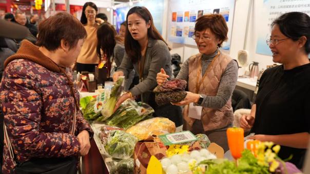 21238ff606cb3999f34b16311b56a63