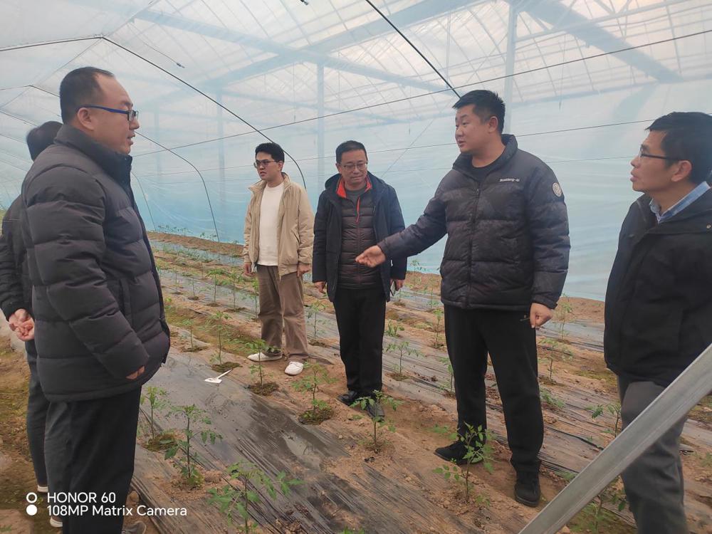 0e2e4767f909137b5483b5d0028460ca