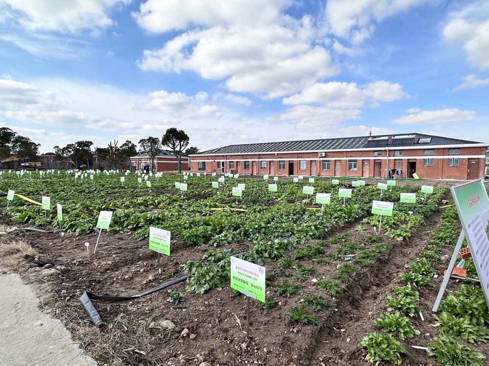 花园里的摆设布局

AI 生成的内容可能不正确。