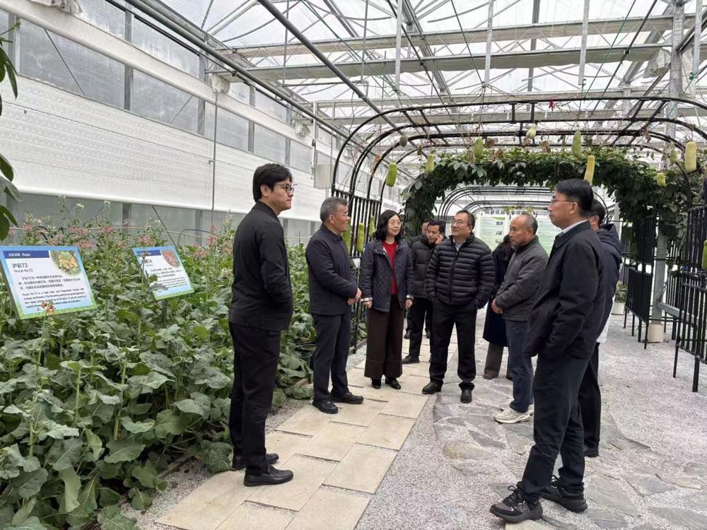 3be159980487e9f463fa0a382fb94c3c