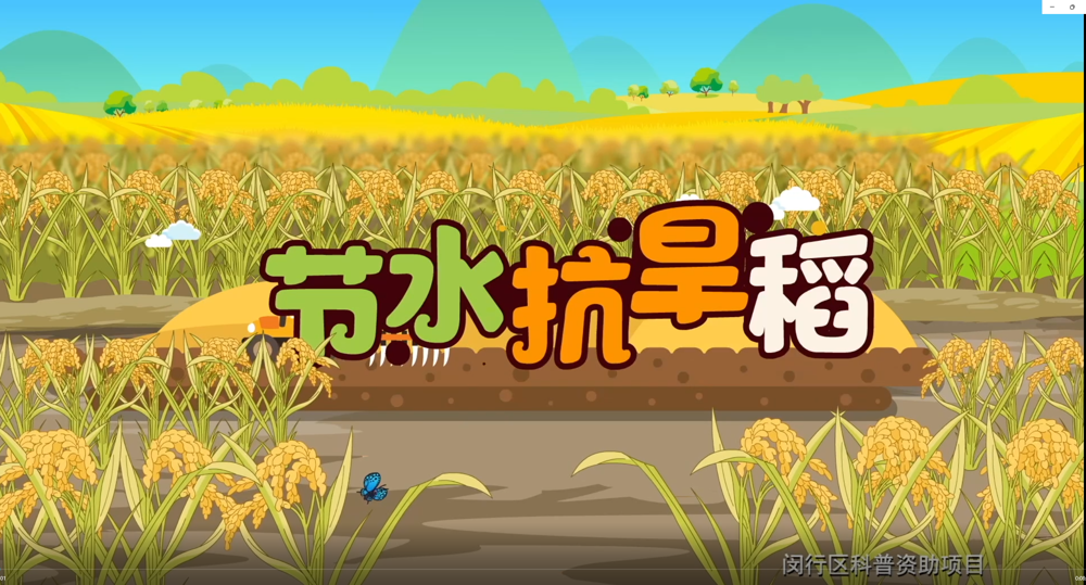 2feed3b8ce68d6c571ed2c168e326b10