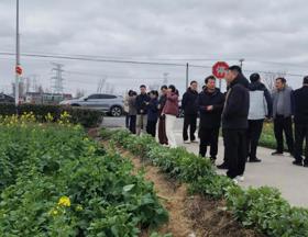 【先行区共建】深化稻油轮作 共绘沪派江南新画卷