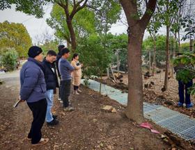 【先行区共建】科技翅膀助“金”鸡高飞