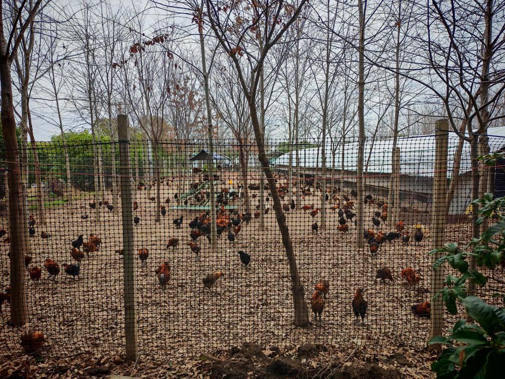 10ecd91b05af6284d3ade18ffd507a1a