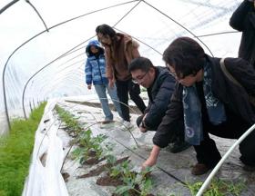 【先行区共建】西甜瓜创新团队赴金山指导春季西瓜栽培管理