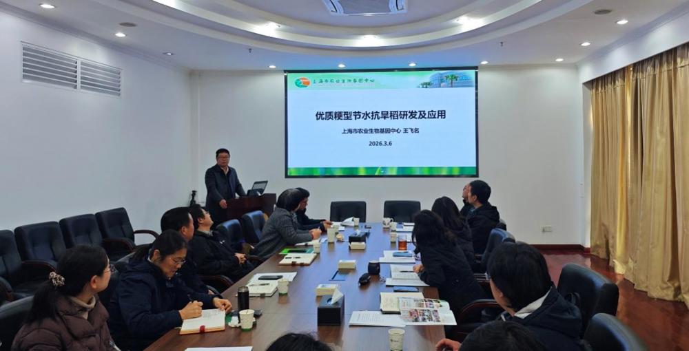 E:\xwechat_files\hong303030_3644\temp\RWTemp\2026-03\3c004d09c74a7bec2959688b390eb7b1.jpg