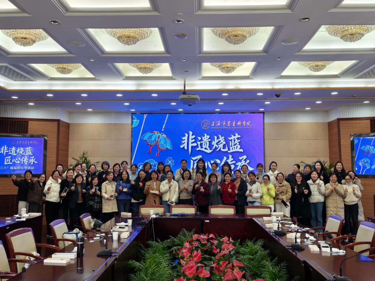 c3a55693680dd06671967b866e57d7dc