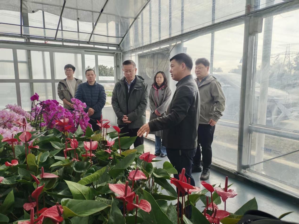 33117e7847bf2ce4e53c93aab5b9537a