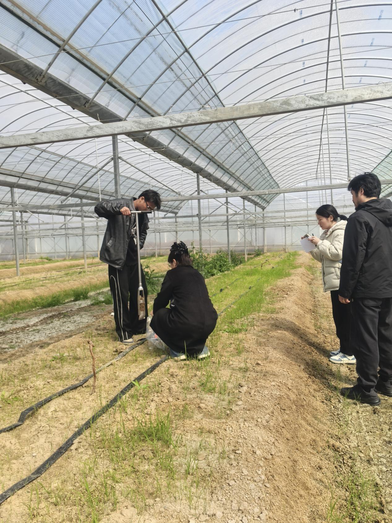 9effb1a9068cd04b951e90b8176b8731