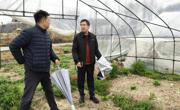 【先行区共建】园艺所科研人员赴金山朱泾镇慧农村开展毛豆栽培指导