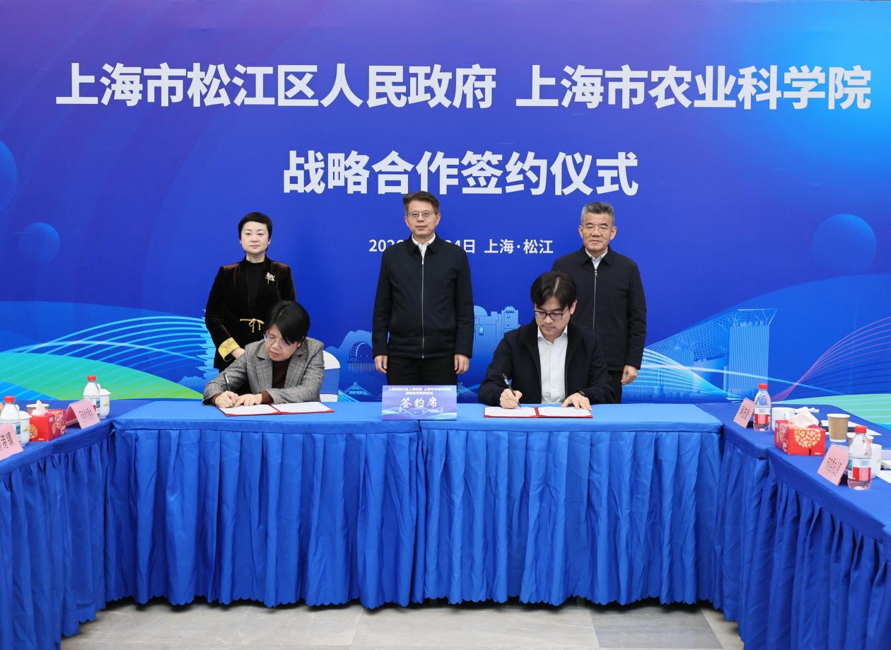 ee9698933cee85909994477b7fbf61a5