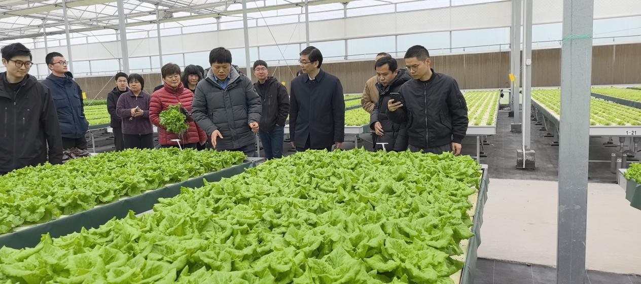 9e40091f0a53f3aa8e950b18ec4af649