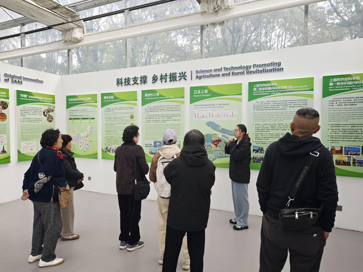 3月5日退休职工活动2