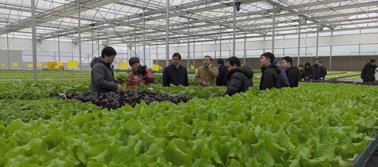 a4199ec70a8f3e6ab61c436c27b6eb01