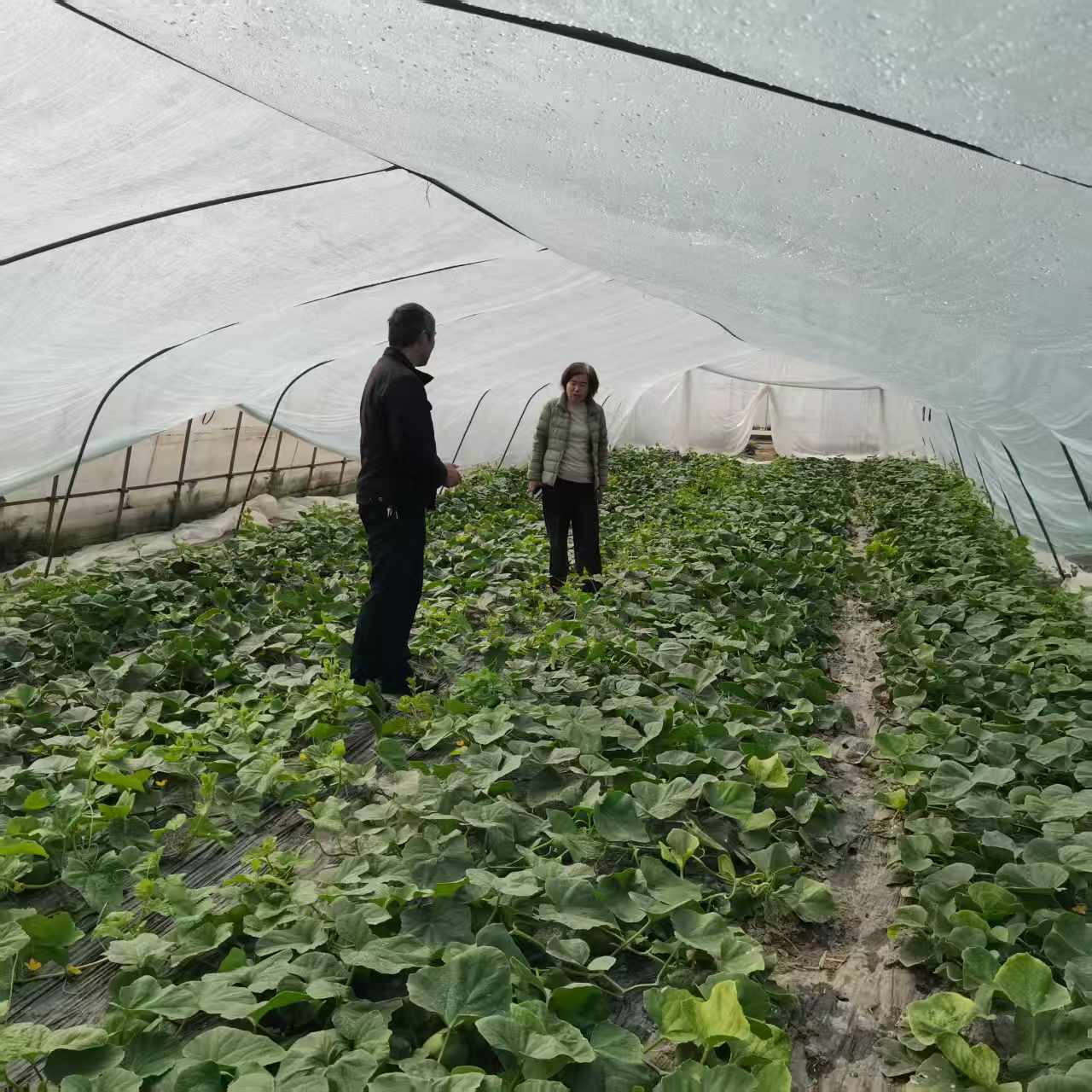 微信图片_20260326083921_50_23