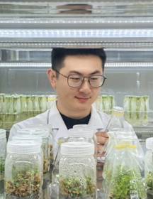 生物所-王宇（2026-2027年度助跑计划培养人选）