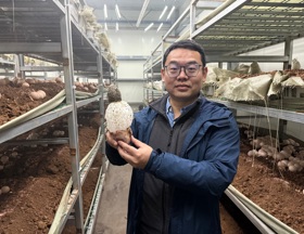 食用菌所-陈万超（2026-2028年度攀高计划培养人选）