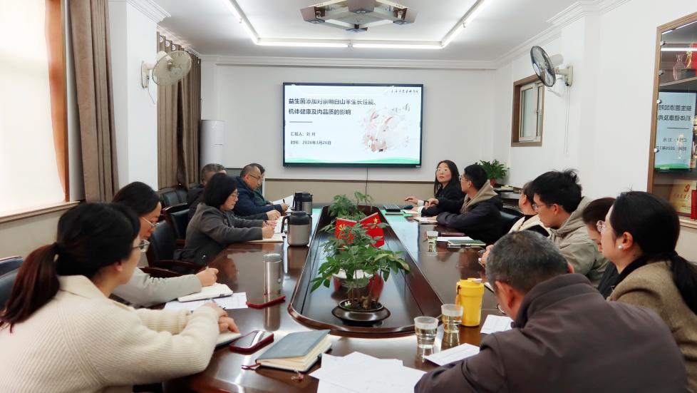 IMG_8064_副本_副本