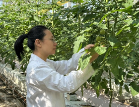 园艺所-张咏雪（2026-2027年度助跑计划培养人选）