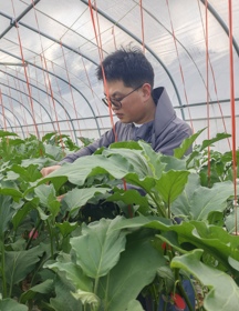 园艺所-肖凯（2026-2027年度助跑计划培养人选）