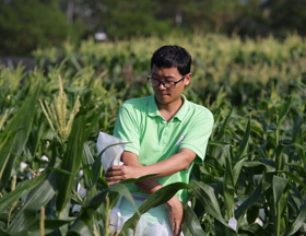 作物所-胡颖雄（2026-2028年度攀高计划培养人选）