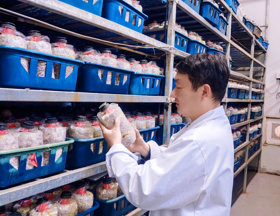 食用菌所-郝海波（2026-2027年度助跑计划培养人选）