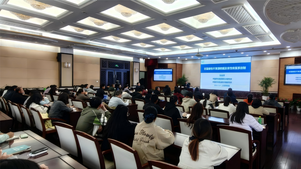 微信图片_20260401110037_211_84(1)(1)