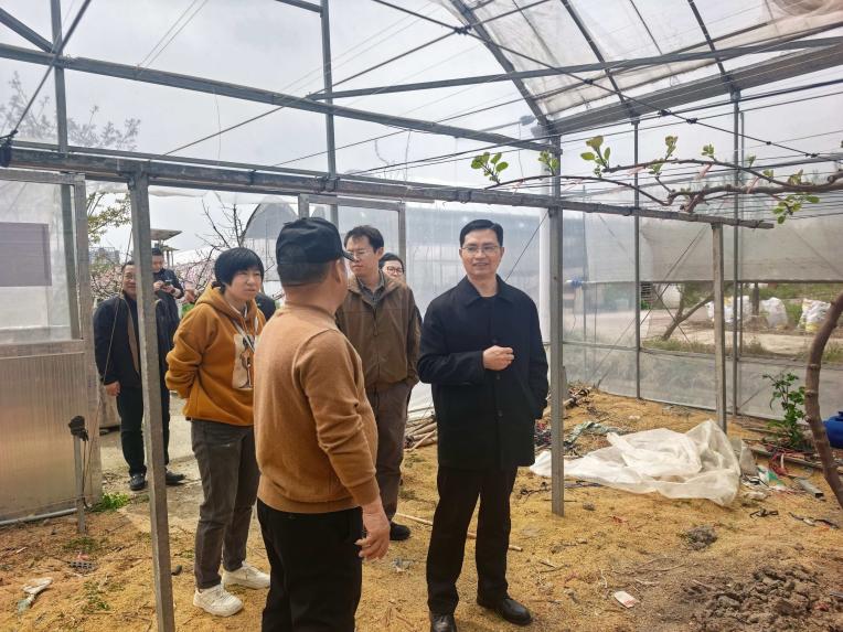 24486a0f8d65a7f9501f0766e5a5b179