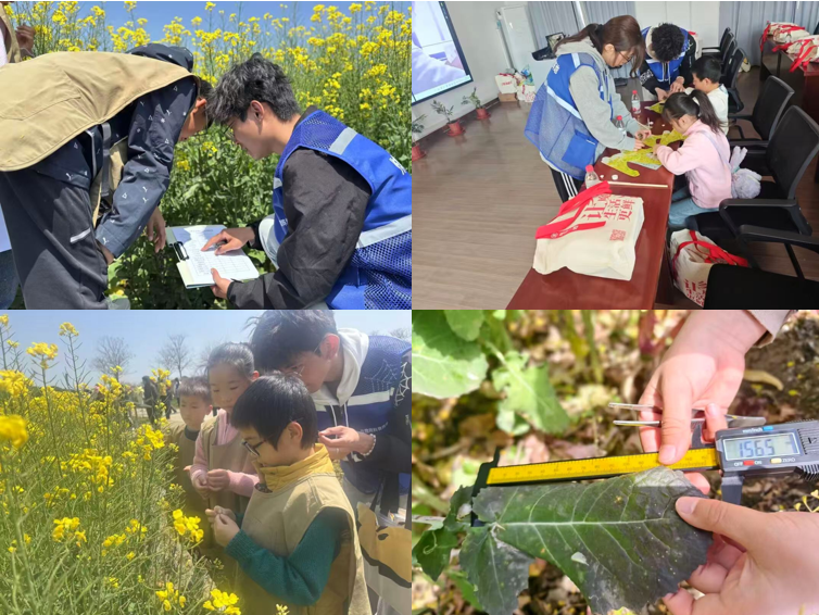 {84028A95-209B-48ac-8C62-A212EFEF41FB}