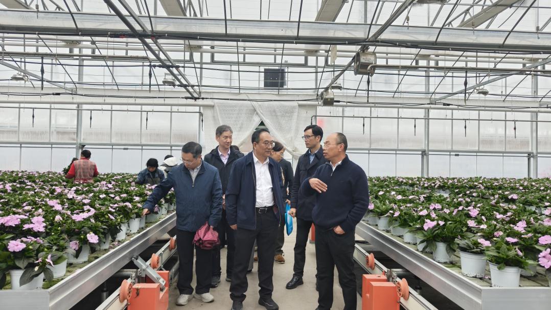 a4554ef1923d61d3ff96fc4bf45bdeb7