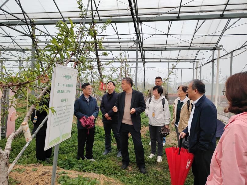 d11a7724915ab16506dfb1f382cca432