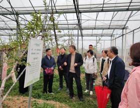 【先行区共建】院党委委员、纪委书记姚训率队赴金山区吕巷镇调研交流