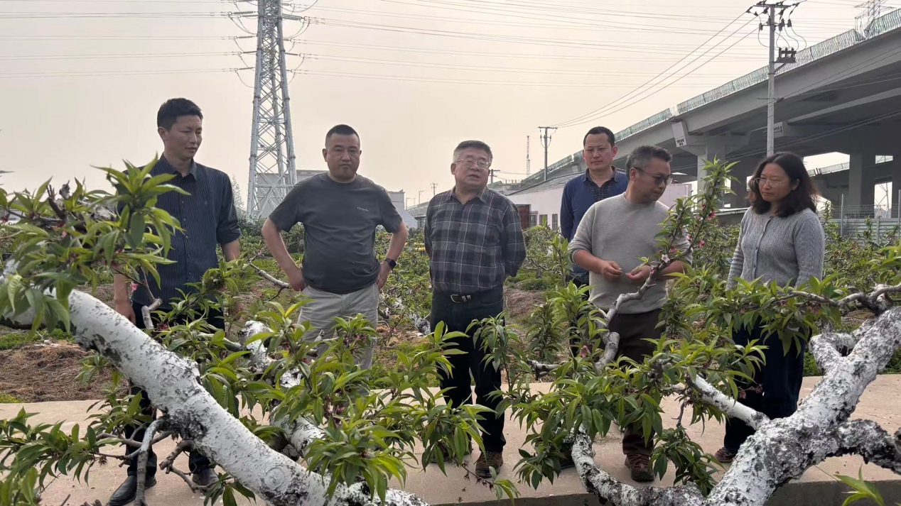 一群人站在石头上

AI 生成的内容可能不正确。