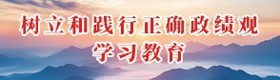 树立和践行正确政绩观学习教育