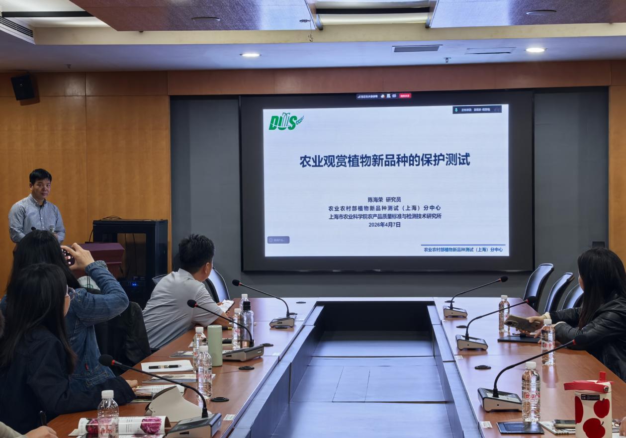 微信图片_20260410210320_34_3_副本