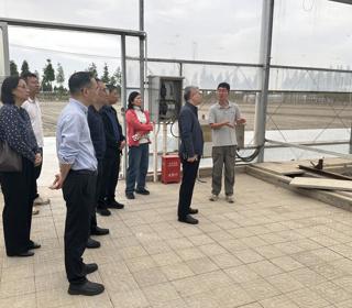市纪委监委驻市农业农村委纪检监察组组长吴春率队到我院开展政治监督现场指导