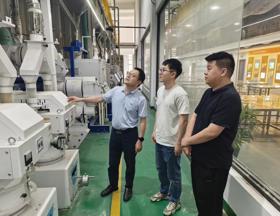 【先行区共建】我院作物所科技人员赴金山盛致开展稻米加工产业调研活动