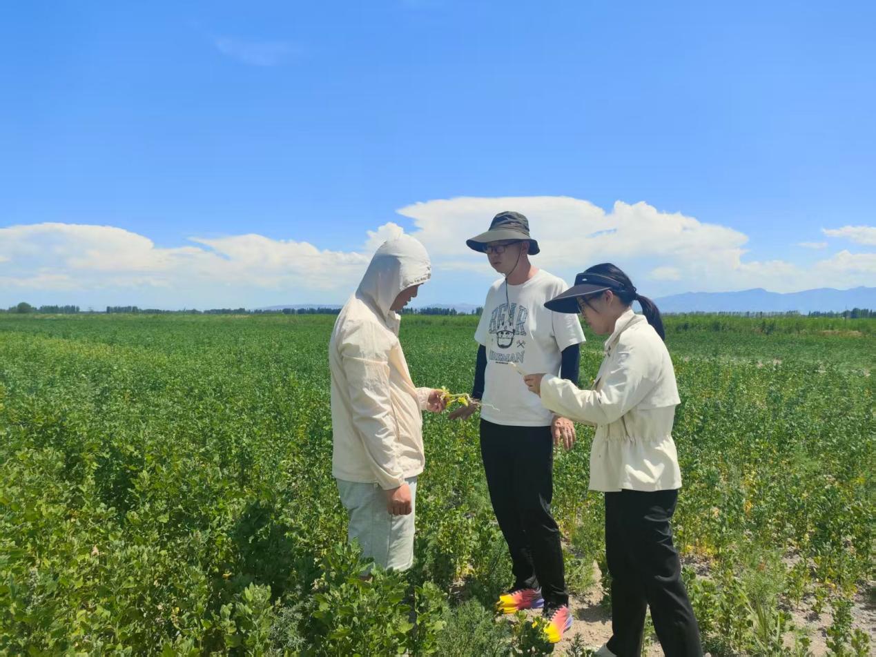 图片包含 户外, 草, 人, 站
AI 生成的内容可能不正确。
