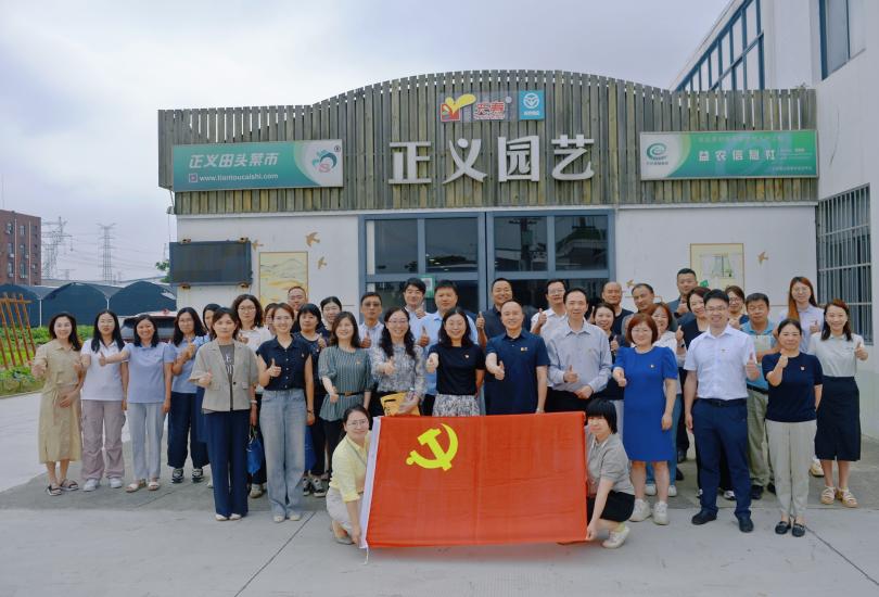 合影