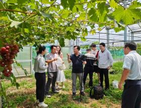 【先行区共建】林果所葡萄团队赴金山开展技术指导 深化产学研合作交流