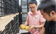 【廉洁故事征文优秀作品】初心如磐守底线，远见布局育新机