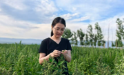 【廉洁故事征文优秀作品】泥土芬芳处，初心正当时